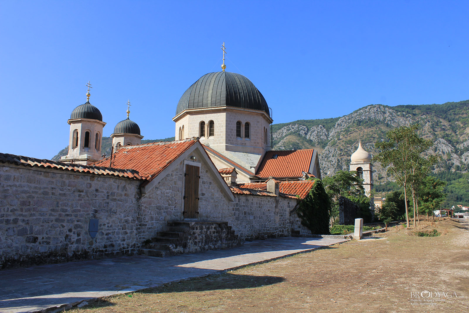 Kotor